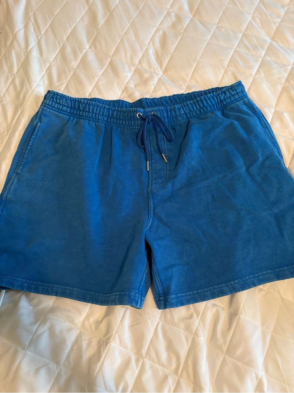 chubbies Bright Blue Elastic Waist Comfort Shorts